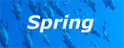 Spring Calendar