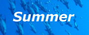 Summer Calendar