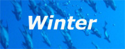 Winter Calendar