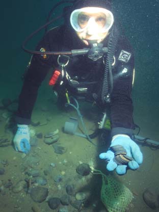 Chris with Coins