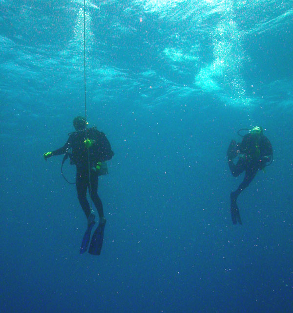 Deep Diver