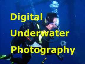 Digital Underwater Photography