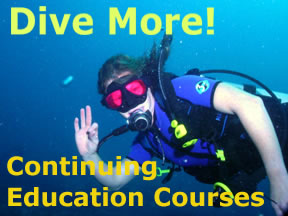 Continuing Education