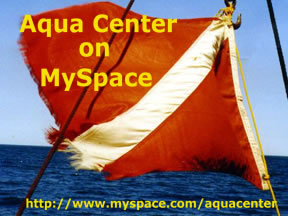 MySpace Page Link