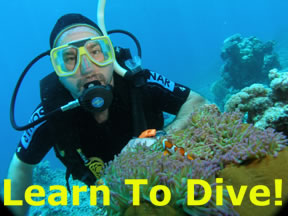 Learn to Dive!
