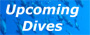 Dives