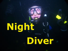 Night Diver