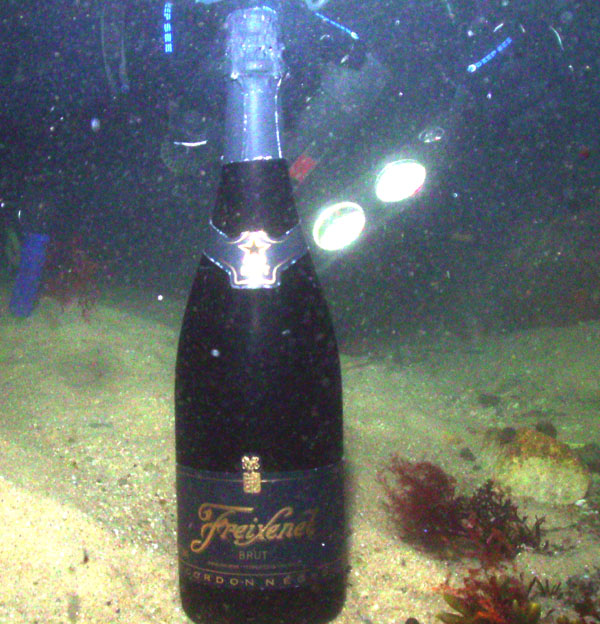 Happy New Year!