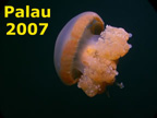 Palau 2007