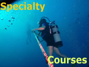 Specialty Courses