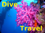 Dive Travel